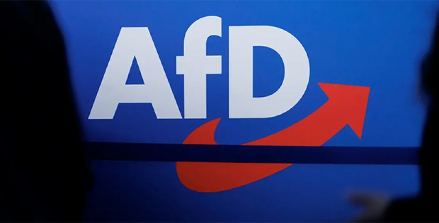 AfD'nin Yükselişi Almanya'da Göç Planlarını Artırıyor