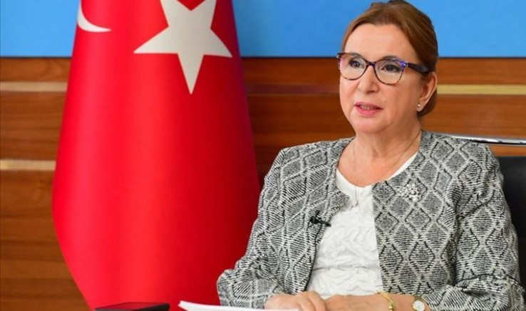 Aile şirketinden yaptığı satışla gündem olan Bakan Pekcan görevinden alındı 