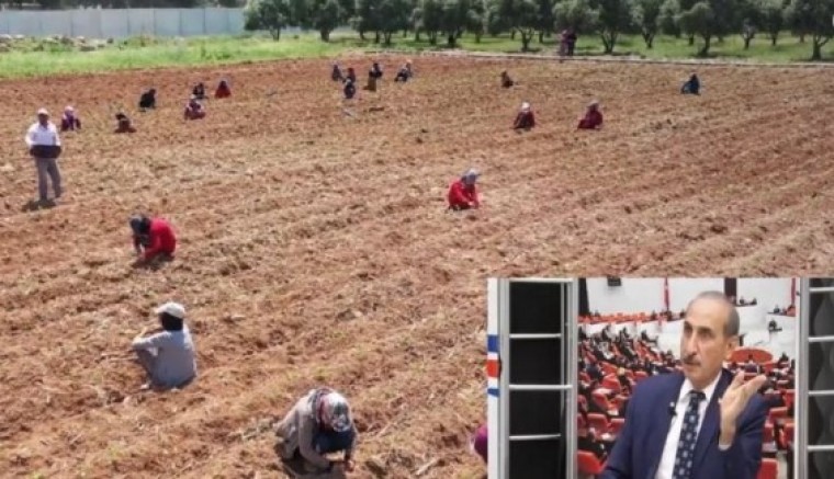 Akçakale AKP’li Belediye Başkanı Mehmet Yalçınkaya: Alevi inancı çok sağlam bir inanç (VİDEO)