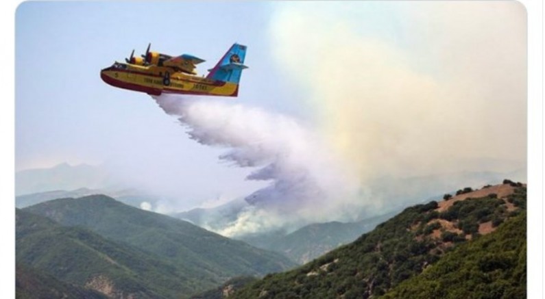 AKP İl Başkanı Dersim’de ki yangına photoshop ile müdahale etti