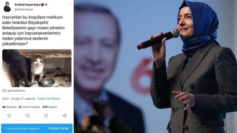AKP'li Fatma Betül Sayan Kaya İBB'yi hedef almak isterken ters köşe oldu!