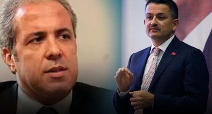 AKP’li Şamil Tayyar: Bekir Pakdemirli’nin kibrinden kurtulmasını Rabbimden niyaz ederim