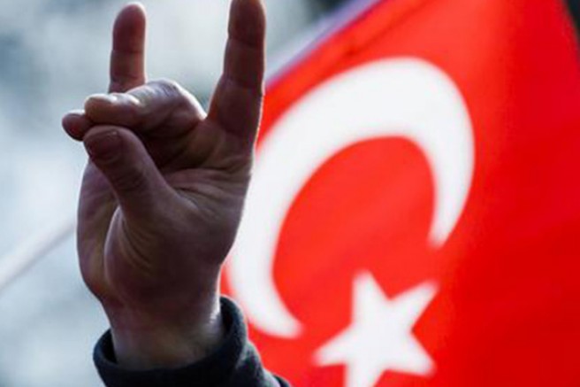 Alman vekiller: ‘Ülkücü Hareket’ yasaklansın