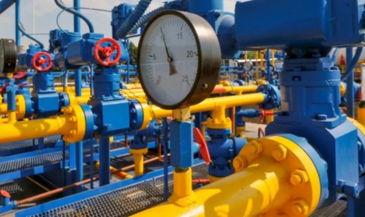 Almanya'dan sonra Avusturya da gaz tedariği için acil durum ilan etti 