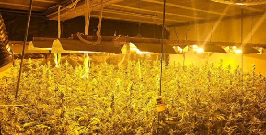 Aşağı Avusturya'da Narkotik Operasyonu: Yedi Kişi Tutuklandı