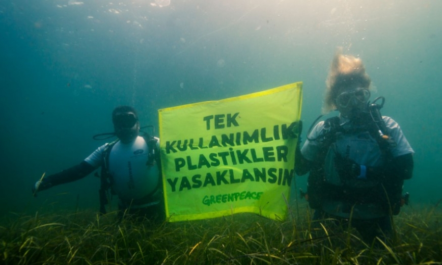 Avrupa birliğinde 'tek kullanım plastikler yasağı' başladı