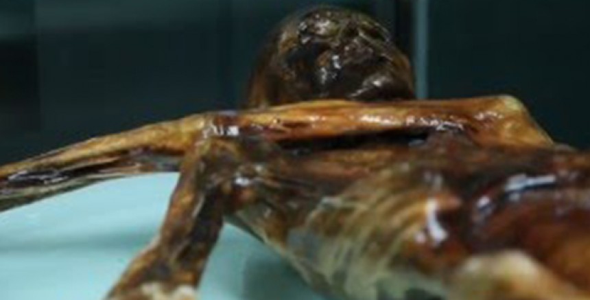 Avusturya Alplerinde bulunan buz adam Ötzi Anadolulu çıktı