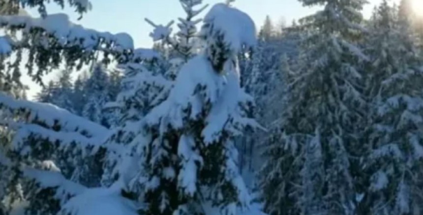 Noel Partisinden Dönerken Aracı hendekte sıkışan 57 Yaşındaki adam donarak can verdi 