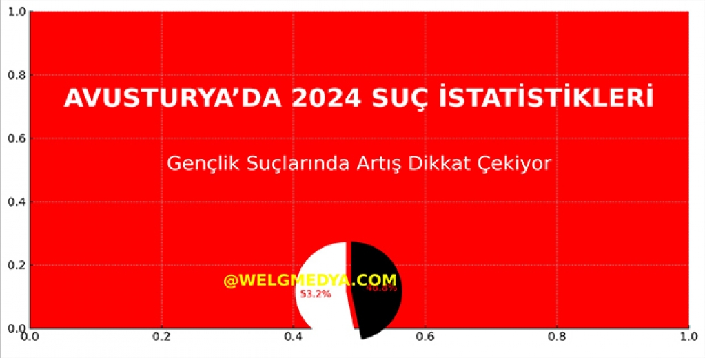 Avusturya’da 2024 Suç İstatistikleri: Gençlik Suçlarında Artış Dikkat Çekiyor