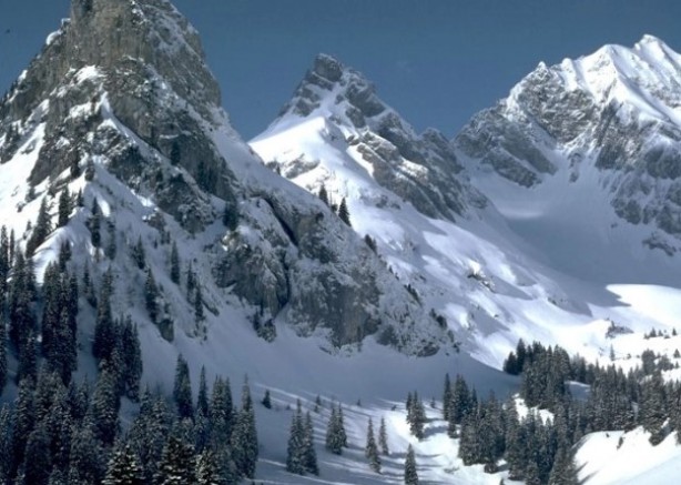 Avusturya’da Alplerin zirvesinde fotoğraf çekmeye çalışırken düşerek yaşamını yitirdi 