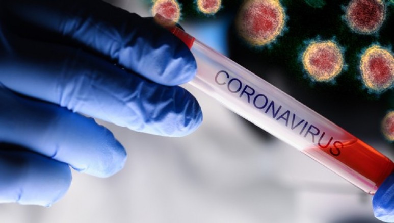 Avusturya’da koronavirüs yeni vakalarla birlikte sayı 42 çıktı