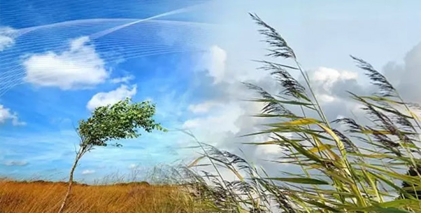 Avusturya'da Şiddetli Fırtına Uyarısı: 110 km/s'ye Varan Rüzgarlar Bekleniyor