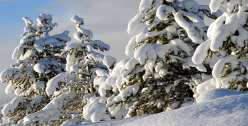Avusturya'da Soğuk Hava ve Kar Yağışı Bekleniyor: Hava Durumu Değişiklikleri Perşembe ve Cuma Günleri
