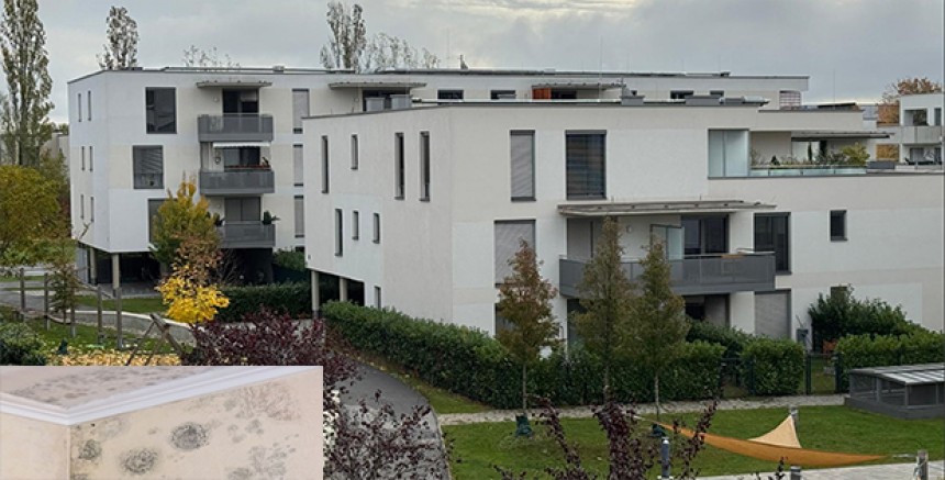 Avusturya’da yeni kira yasası: Evdeki arızalardan artık ev sahibi sorumlu