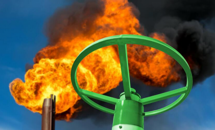 Avusturya’da elektrik üretiminde doğal gaz yerine kömür kullanımı yeniden gündemde 