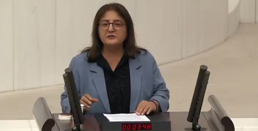 Ayten Kordu: “Dersim’de Halkın Kimliği, Doğası ve Yaşamı Kuşatma Altında”