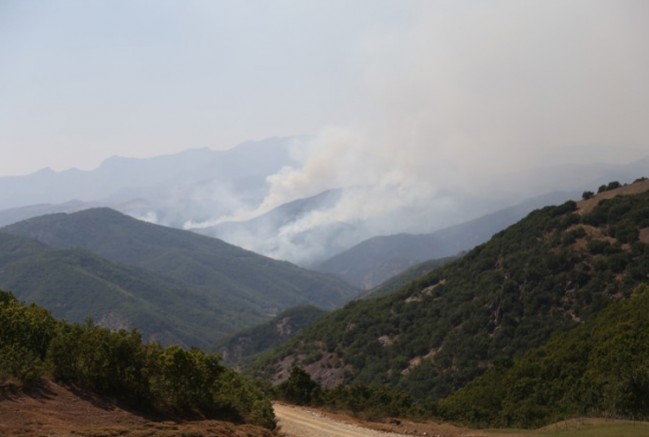 Barolardan Çağrı: Dersim’deki yangına derhal müdahale edilsin