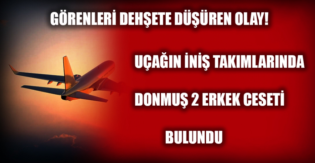 Bir uçağın iniş takımlarından donmuş iki ceset bulundu 