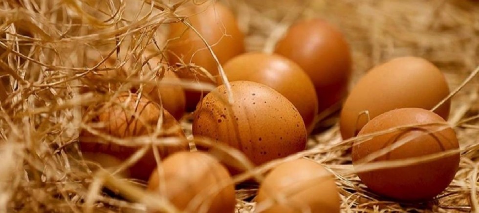 Büyük boy yumurtanın kolisi markette 36,5 TL'den 46 TL'ye yükseldi