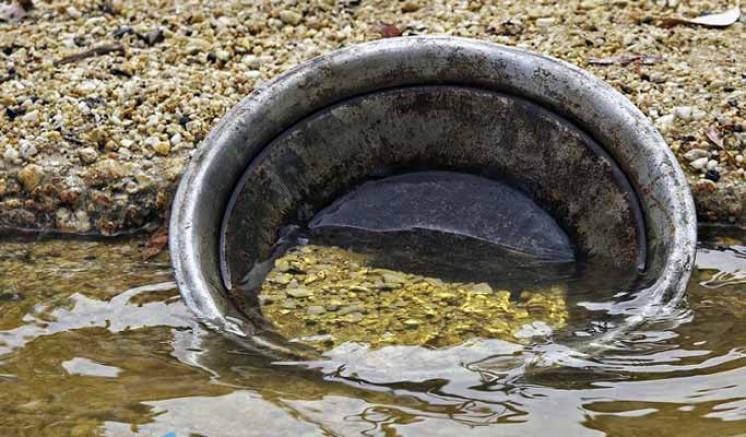 ÇED artık korumuyor!