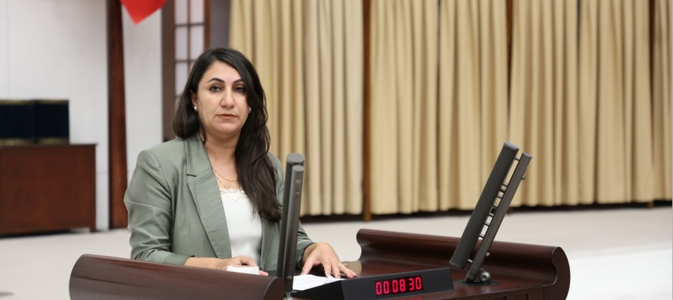  DEM Partili Oduncu: “Kültürel Miras Yerelden Alınıp Saraya Devrediliyor”