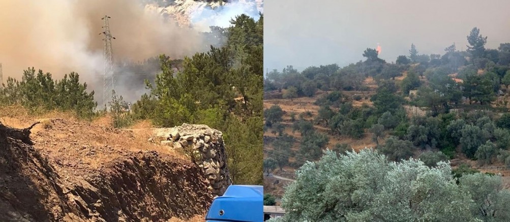 Datça'da orman yangını kontrolden çıktı, bazı evler tahliye edilmeye başlandı