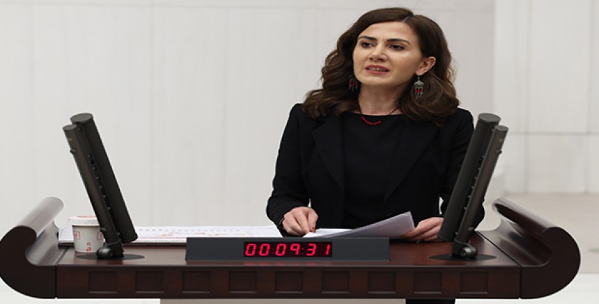 DEM Parti’li Sümeyye Boz’dan Sağlık Bakanlığı’na “Nefret Söylemi” Soruları