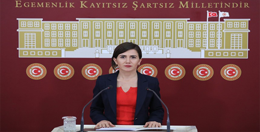 DEM Parti Muş Milletvekili Sümeyye Boz’dan Birçok Konuda Soru Önergeleri