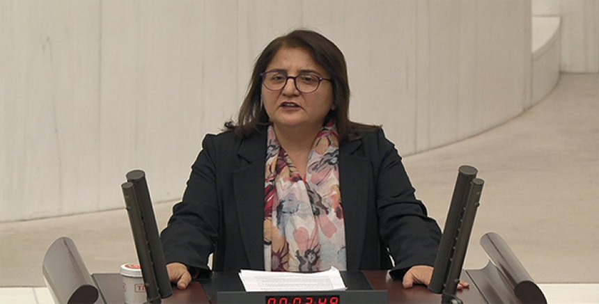 DEM Partili Ayten Kordu: “Ulukale Dutu destek kapsamına alınmalı”