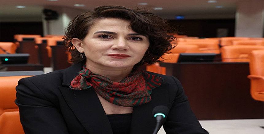 DEM Partili Boz’dan Meclis’e Araştırma Önergesi: “Zorla göç ettirilenlerin hakları güvence altına alınmalı”