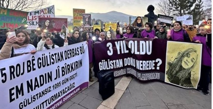 Dersim’de Gülistan Doku'nun kayboluşunun 3. Yılında basın açıklaması  
