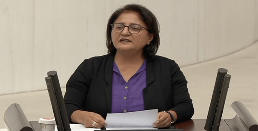 Dersim’in Deşt, Düz Pelit, Karşılar, Altınyüzük ve Eğri Yamaç Köylerindeki Kriz Meclis Gündeminde – Ayten Kordu Bakanlara 20 Maddelik Soru Önergesi Verdi