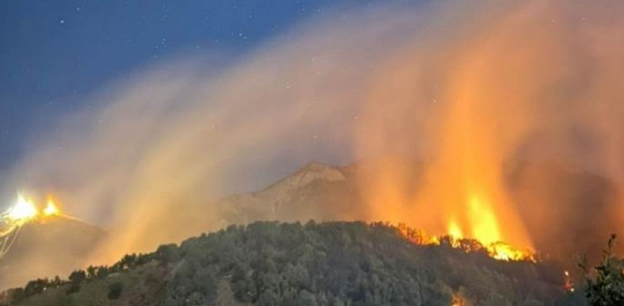 Dersim’in Ovacık ilçesinde orman yangını çıktı 