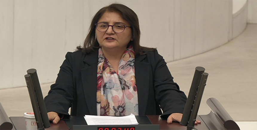 Dersim Milletvekili Ayten Kordu’dan Pülümür’deki Rüzgâr Enerji Santraline Tepki: “Ekolojik Felakete Davetiye!”