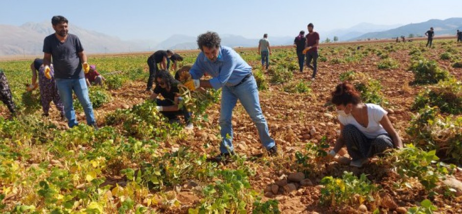 Dersim'de sanatçılar ile halk hem söyledi hem çalıştı