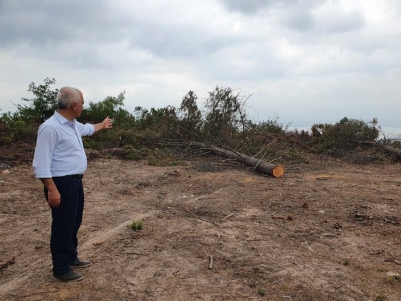 Dr. Gergerlioğlu: Derince Çınarlı Ormanları siteler yapılabilmesi için mi katlediliyor? (VİDEO)