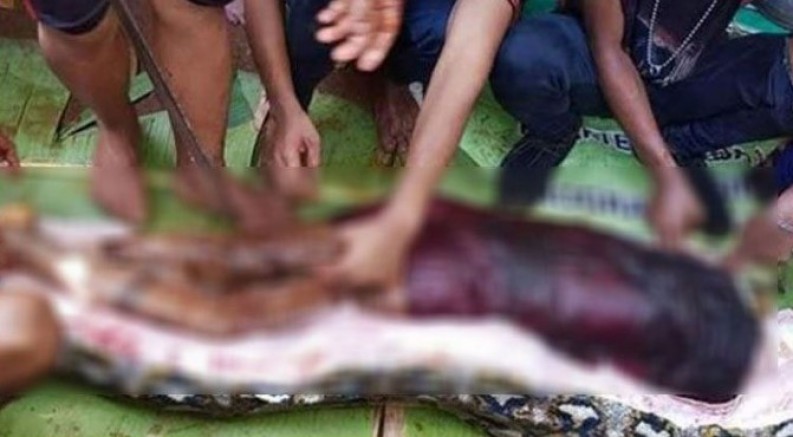 Endonezya’da Piton yılını tarlada çalışan 50 yaşındaki kadını yuttu!