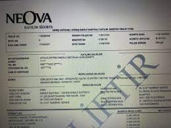 Gazeteci Erk Acarer, Soylu'nun sigorta şirketine ilişkin belgeleri paylaştı