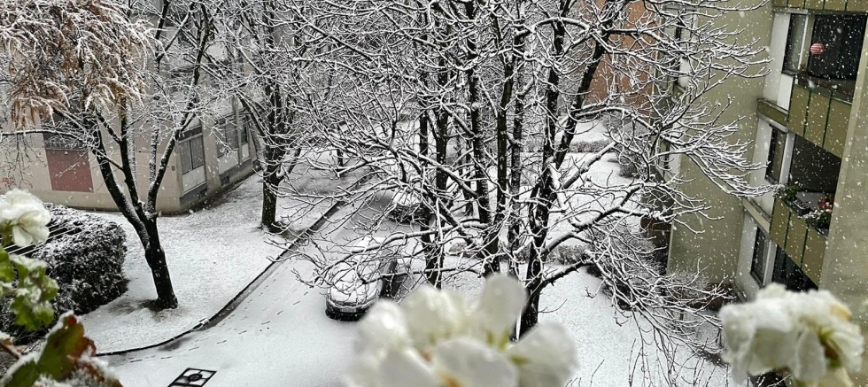 Graz'a yılın ilk karı düştü!