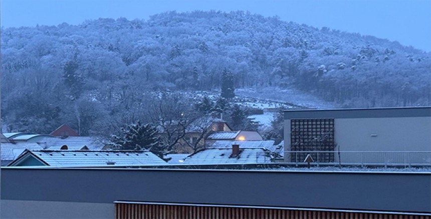 Graz’a Yılın İlk Karı Düştü