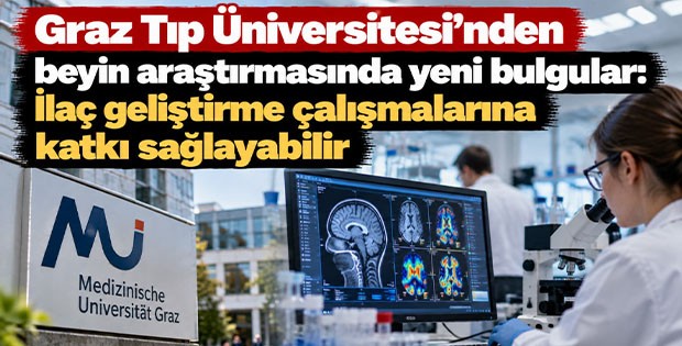 Graz Tıp Üniversitesi'nden beyin araştırmasında yeni bulgular: İlaç geliştirme çalışmalarına katkı sağlayabilir