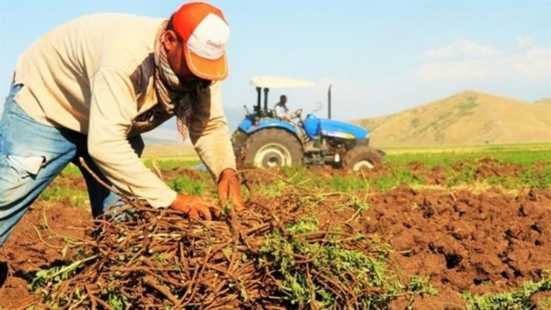 Haciz kıskacında olan çitçiler artık sona geldik diyor