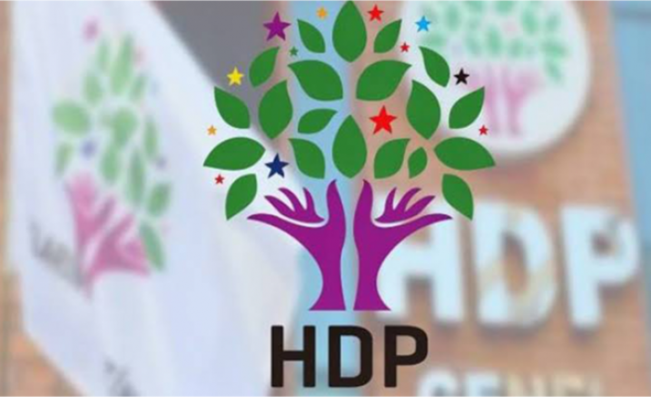 HDP'li iki meclis üyesi daha görevden alındı