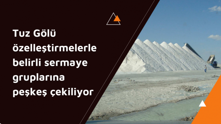 HDP’li Kenanoğlu: Tuz Gölü özelleştirmelerle belirli sermaye gruplarına peşkeş çekiliyor