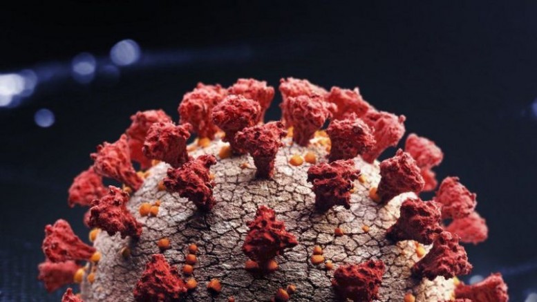 İngiltere'de Güney Afrika varyantı iki Omicron vakası tespit edildi