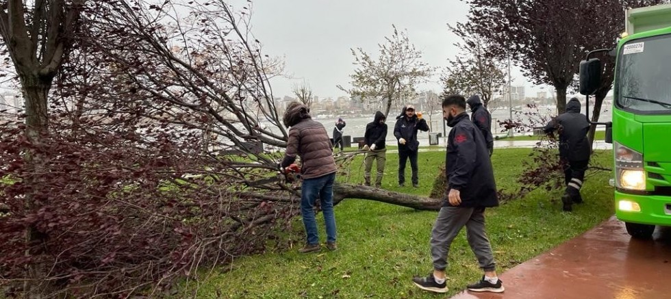 “İstanbul’da fırtına kaynaklı 327 çatı uçtu, 1517 ağaç devrildi”