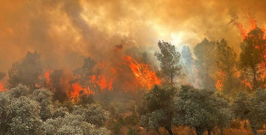 İzmir'de Orman Yangınına Müdahale Sürüyor