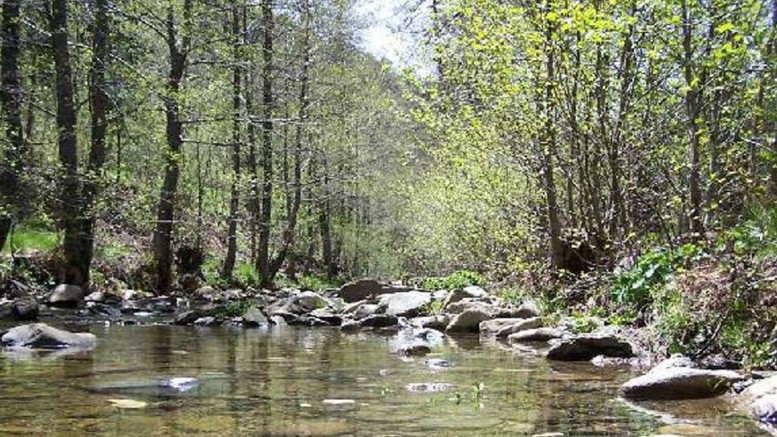 İzmir ve Balıkesir’de ormanlara girişler yasaklandı