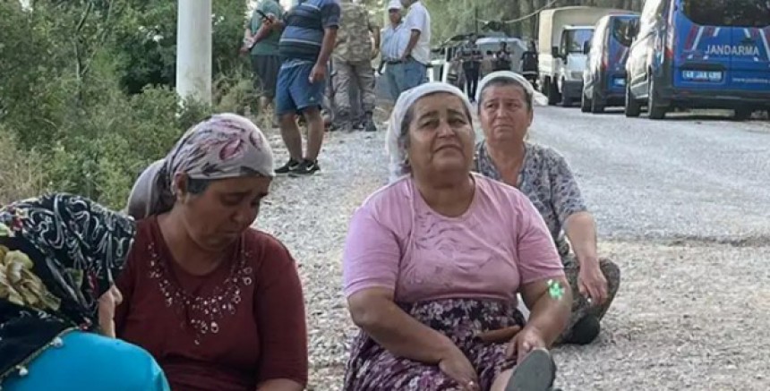 Jandarma eşliğinde Akbelen Ormanı'nda ağaç kesimine başlandı