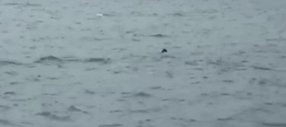 “Karadeniz'de gemiler mayın tehdidi altında”